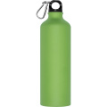 Drinking bottle CRANFORD 800 ml, light green