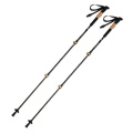 Trekking poles DENALI Schwarzwolf, black