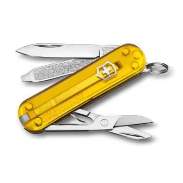 Logotrade promotional gifts photo of: Pocket knife Classic SD transparent Victorinox