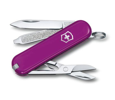 Logotrade advertising product picture of: Pocket knife CLASSIC SD Victorinox