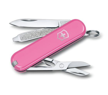 Logo trade promotional products picture of: Pocket knife CLASSIC SD Victorinox