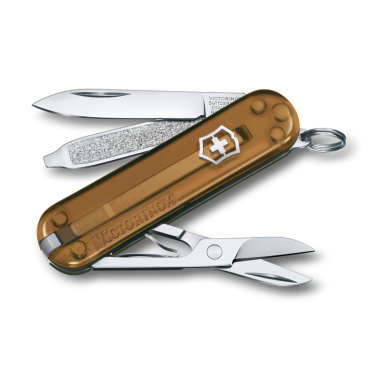 Logotrade promotional merchandise photo of: Pocket knife CLASSIC SD Victorinox