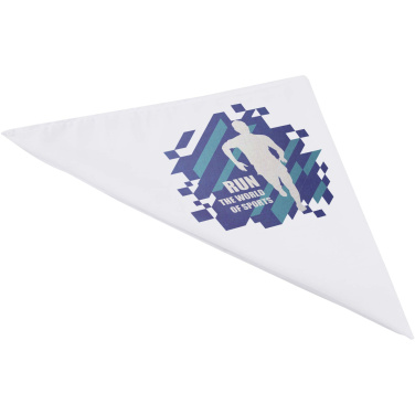 Logotrade corporate gift image of: Heracles bandana