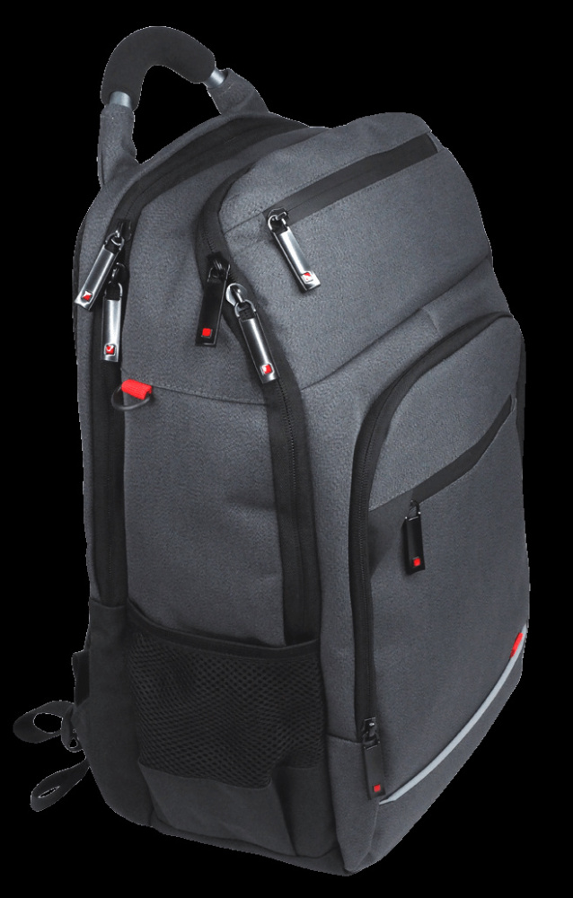 Logo trade promotional giveaway photo of: Laptop backpack 123815000