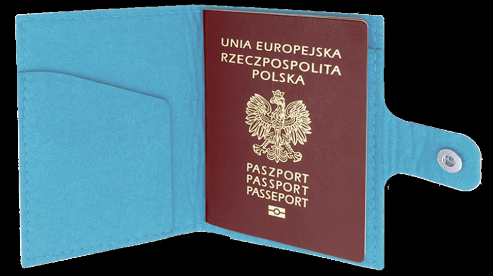 Logotrade business gift image of: Passport case 84106200