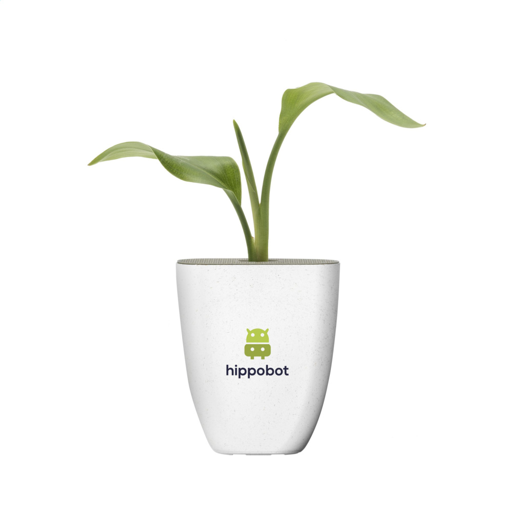 Logo trade promotional merchandise image of: Treemore Letterbox Trees Bird of Paradise plant