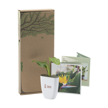 Logotrade promotional product image of: Treemore Letterbox Trees Bird of Paradise plant