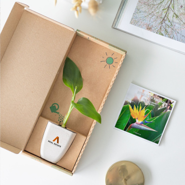 Logo trade promotional item photo of: Treemore Letterbox Trees Bird of Paradise plant