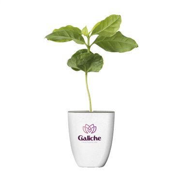 Logo trade promotional products image of: Treemore Letterbox Trees Coffee