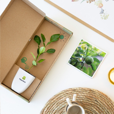 Logo trade promotional gift photo of: Treemore Letterbox Trees Kaffir Lemon