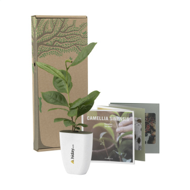 Logo trade corporate gifts image of: Treemore Letterbox Trees Tea plant