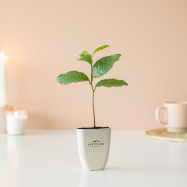 Logotrade promotional items photo of: Treemore Letterbox Trees Tea plant