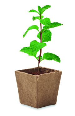 Logo trade promotional gifts picture of: Mint seeds growing kit