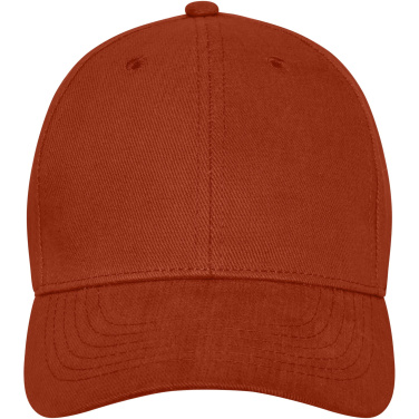 Logotrade promotional giveaway image of: Davis 6 panel cap