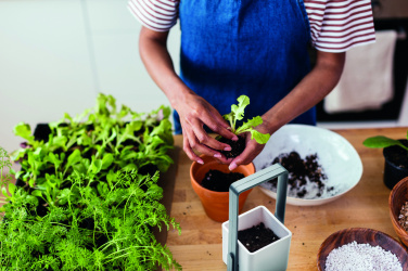 Logotrade promotional merchandise picture of: Indoor garden with LED light