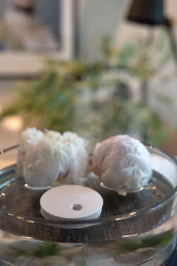 Logotrade promotional item picture of: Breevia RCS rplasic re-chargeable floating humidifier