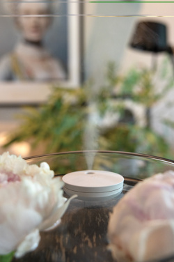 Logotrade promotional item image of: Breevia RCS rplasic re-chargeable floating humidifier