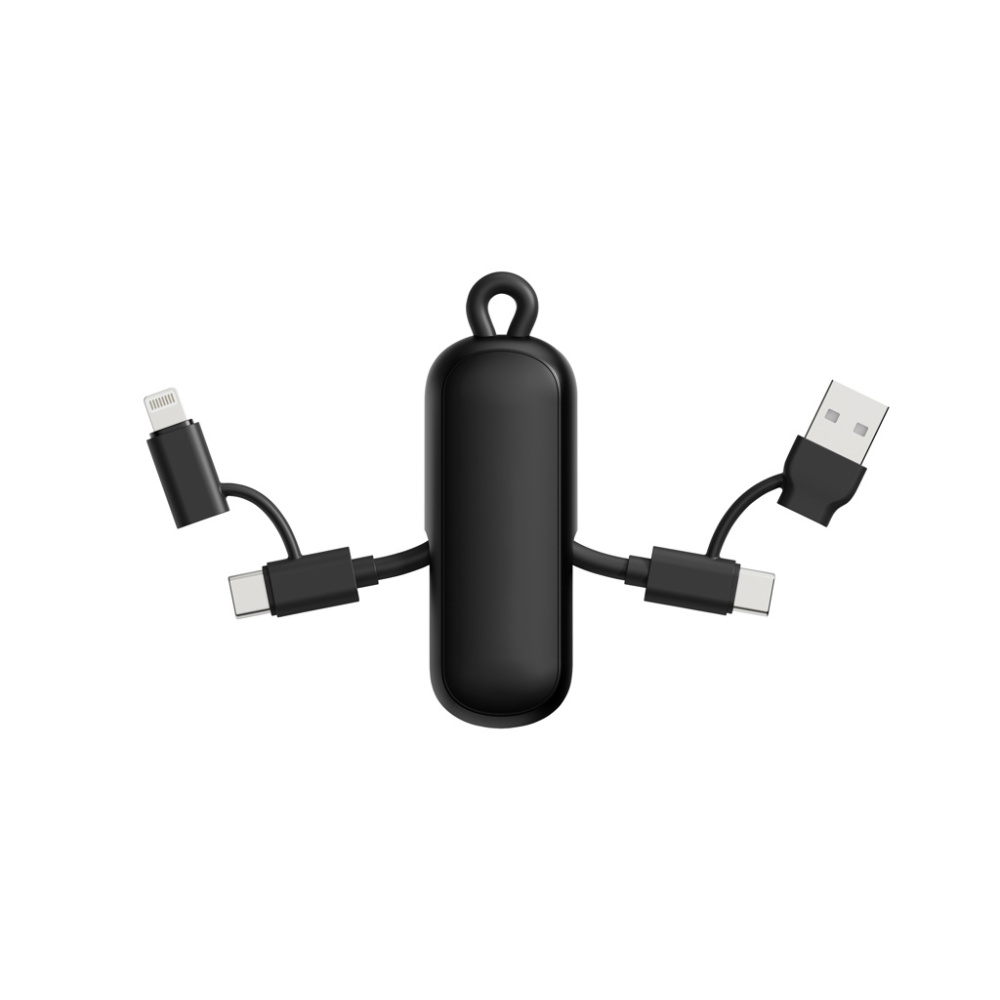 Logotrade promotional product image of: Urban Vitamin Dublin 100W 4 -in-1 keychain cable