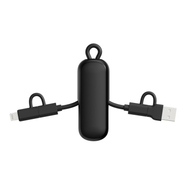 Logo trade promotional gifts image of: Urban Vitamin Dublin 100W 4 -in-1 keychain cable