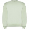 Clasica unisex crewneck kampsun, Uduroheline