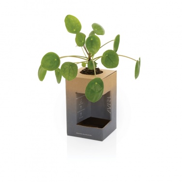 Logotrade reklaamtooted pilt: Avira Alya RCS Re-steel termostops 300 ml