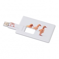 Krediitkaart. USB-välkmälu 4 GB