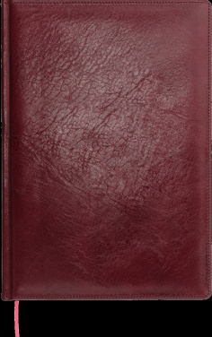 Logo trade ärikingituse pilt: Kalendermärkmik 642131