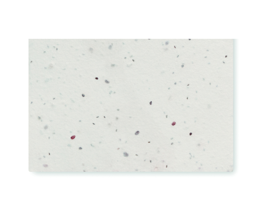 Logo trade ärikingituse pilt: ASIDA Seemnepaberist visiitkaart