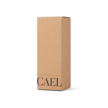 Logo trade firmakingituse pilt: VINGA Cael RCS SS joogipudel 600ML