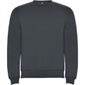 Clasica unisex crewneck pusa, Eebenipuu