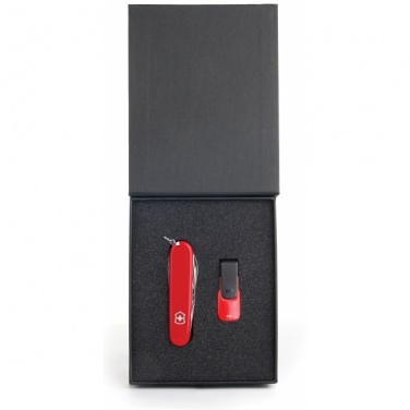 Logotrade mainoslahjat kuva: Gift set   8GB color red