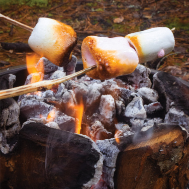 Logotrade mainoslahja tuotekuva: Eco Grill L