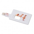 Kreditinė kortelė. USB blykstė 4GB, Baltas