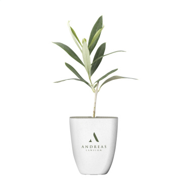 Logotrade verslo dovanos nuotrauka: Treemore Letterbox Trees Olive