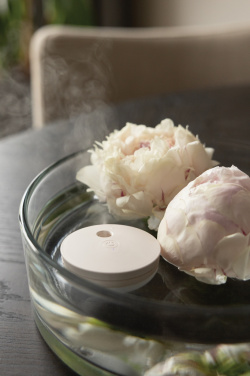 Logotrade dovana nuotrauka: „Breevia RCS“ plastikinis įkraunamas plaukiojantis drėkintuvas