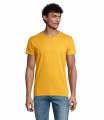 PIONEER MEN T-Shirt 175g, Золото