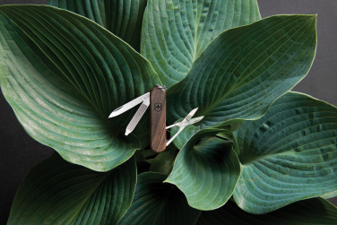 Лого трейд pекламные подарки фото: Карманный нож VICTORINOX Classic SD Wood, 5 функций