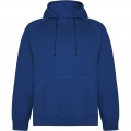 Vinson unisex hoodie, Kungsblå