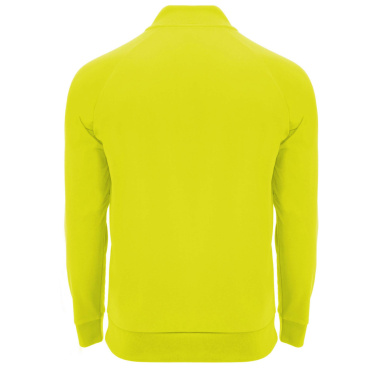 Logotrade profilprodukter bild: Epiro långärmad sweatshirt med kvartslång dragkedja för barn